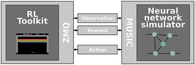 A Closed-Loop Toolchain for Neural Network Simulations of Learning <mark class="highlighted">Autonomous Agents</mark>